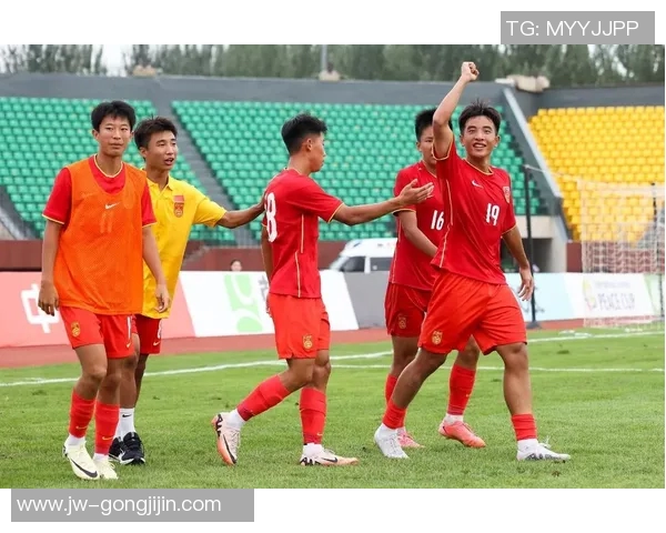 中国国家级足球明星全景盘点与未来发展展望