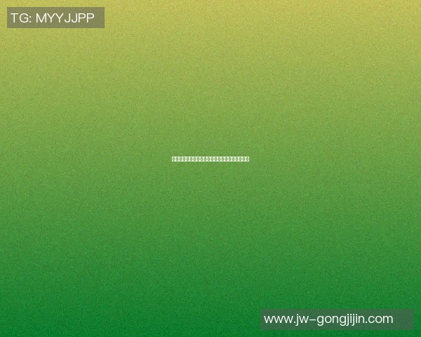篮球明星小狐狸的成长之路与赛场传奇背后的故事 篮球明星小狐狸的成长之路与赛场传奇背后的故事